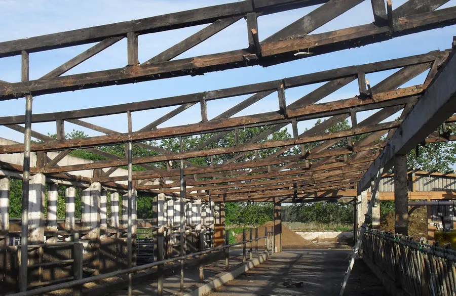 Sanierung eines Kuhstalldachs als Landwirtschaftshallendach, mit Vorher- und Nachher-Ansichten.